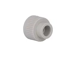 Муфта Thermo Alliance 3/4" d 20мм поліпропіленова 3/4"В для поліпроп. труб (DSB202) - мініатюра 3