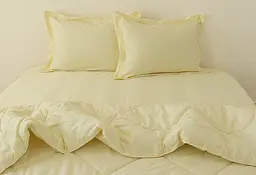 Комплект постільної білизни TAG Tekstil 2-спальний Світло-жовтий 000163671 (Ivory) - мініатюра 2