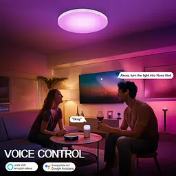 Світлодіодний стельовий світильник із димінгом, 24 Вт 2400 LM Smart RGB світлодіодний стельовий світильник, IP44 лампа - мініатюра 3