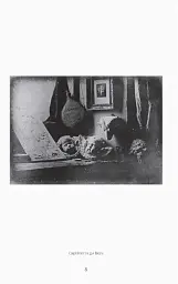 A Little History of Photography - мініатюра 3