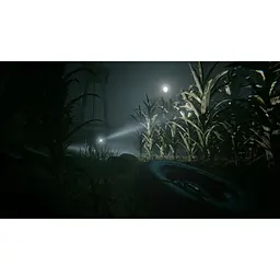Ключ активації Microsoft Outlast 2 для Xbox One/Series - мініатюра 9