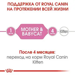 Вологий корм для кошенят до 4 місяців Royal Canin Babycat Instinctive, 195 г - мініатюра 3