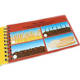 Навчальна книга Цифри 4+ Грайки 123003 - мініатюра 3