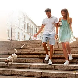 Повідець для собак WAUDOG R-leash світловідбиваюча стрічка XS-M до 40 кг 2.9 м рожевий (81277) - мініатюра 10