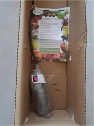 Саджанець Agro-Market Яблуня Байя Маріса (з ароматом полуниці, червоном'яса) 1 шт. в упаковці (48603) - мініатюра 4