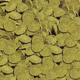 Корм для донних риб Sera Pleco Chips Nature в чіпсах 100 мл (36 г) 05104 - мініатюра 2