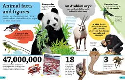 DKfindout!: Animals - мініатюра 6