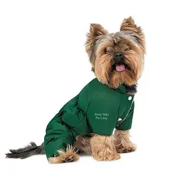 Комбінезон Pet Fashion EGO ХS2 зелений для собак - мініатюра 2
