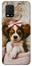 TPU чохол Demsky Sleepy spaniel для Xiaomi Mi 10 Lite