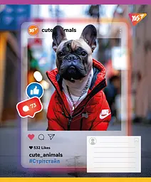 Упаковка зошитів Yes Cute animals учнівський загальний 15 шт./36 кл. (767731) - мініатюра 5