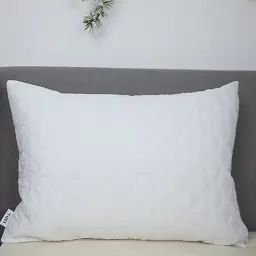 Чохол на подушку ТЕП Sleepcover (3-03827_00000)