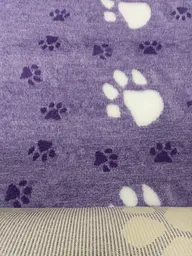 Килимок Jackson Textiles Big Paws violet 80х90 см (JT-021) - мініатюра 5