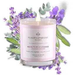 Ароматична свічка Plantes & Parfums Recolte de la Lavande 180 г - мініатюра 2
