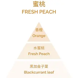 Аромадифузор Plantes&Parfums Peche de Vigne Fresh Peach 100 мл (8000020684200) - мініатюра 3