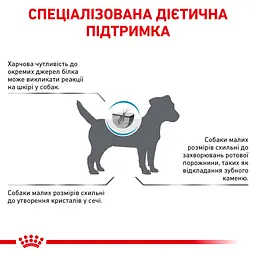 Сухий корм Royal Canin Hypoallergenic Small Dog гіпоалергенний для собак дрібних порід 3.5 кг - мініатюра 2
