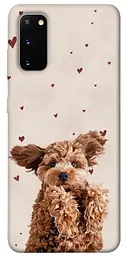 TPU чохол Demsky Сute doggy для Samsung Galaxy S20