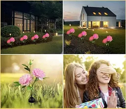 Світильники Garden Peony pink Light на сонячній батареї садові 2 шт - мініатюра 3