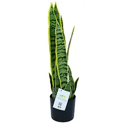Штучна рослина Engard Sansevieria 57 см (TW-43) - мініатюра 2