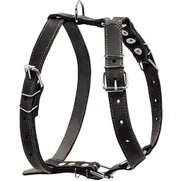 Шлея Collar одинарна для середніх собак (ширина 25мм, А:49-68см, В:68-80см) чорний - мініатюра 2