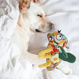 М'яка іграшка для собак Derby Pet Garden - Dragonfly Shaped Dog Plush Toy with Rope - мініатюра 2