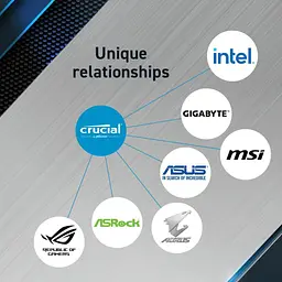 Модуль пам'яті Crucial DDR5 48GB PRO 5600Mhz XMP/EXPO (CP48G56C46U5T) - мініатюра 5