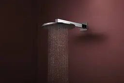 Верхній душ Hansgrohe Raindance Alive S 300 2jet EcoSmart з тримачем chrome 24541000 - мініатюра 3