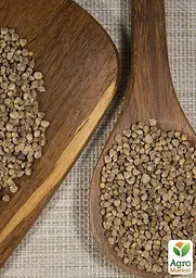Насіння Agro-Market Шпинат Жирнолистий на вагу ціна за 7 г (22091) - мініатюра 3