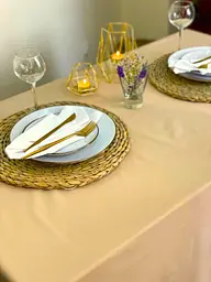 Скатертина Ecotton DUCK 170х150 см водовідштовхувальна бежева Beige 04/23129 (23129)