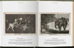 Goya. The Complete Prints - мініатюра 24
