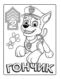 Мегащенята. Активіті-розмальовка. Нове завдання - мініатюра 3