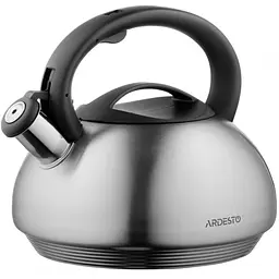 Чайник Ardesto Gemini (AR1950KS)