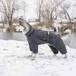 Комбінезон Pet Fashion Cold для такс, розмір M, сірий - мініатюра 5