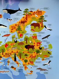 Тварини і рослини світу / Animals and plants of the world - - мініатюра 7