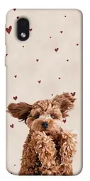 TPU чохол Demsky Сute doggy для Samsung Galaxy M01 Core / A01 Core