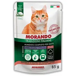 Вологий корм для стерилізованих котів Morando Tradizioni Sterilized беззерновий шматочки в желе з лососем та тунцем 85 г