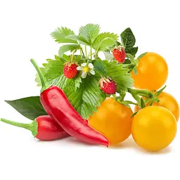 Змінний картридж Click & Grow Фрукти та овочі мікс 9 картриджів (2453) - мініатюра 4