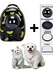 Космічний рюкзак для перенесення свійських тварин CosmoPet з ілюмінатором - мініатюра 5