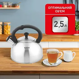 Чайник зі свистком Tefal Duetto+ 2.5 л сірий (N4210310) - мініатюра 6