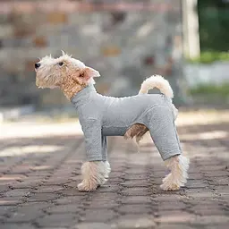 Базовий комбінезон/піжама для собак V.PET.B.R. Dog Jumpsuit CF36 Grey
