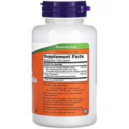 Гінкго Білоба Now Foods 120 мг 100 капсул - мініатюра 2