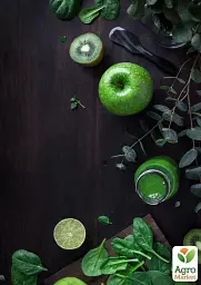 Саджанець Agro-Market Яблуня Грін схем (зимовий сорт, пізній термін дозрівання) 1 шт. в упаковці (35788) - мініатюра 3
