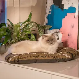 Подушка для собак і котів Ferplast Relax Cities 55 коричнева 55×36 см 82055076 - мініатюра 3