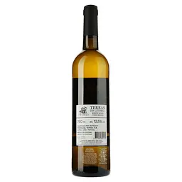 Вино Vidigal Wines Terras do Litoral Mesa, бiле, сухе, 12,5 %, 0,75 л (718844) - мініатюра 2