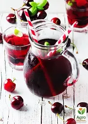 Саджанець Agro-Market Вишня темно-бордова Блаженство (Bliss) (угорська селекція, преміальний високоякісний сорт) 1 шт. в упаковці (43991) - мініатюра 2