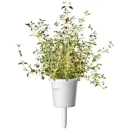 Змінний картридж Click & Grow Smart Garden Чебрець, 3 капсули (7373)