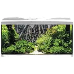 Акваріум на 85 літрів з фільтром помпою і нагрівачем Amtra SYSTEM 80 LED WHITE фон корені