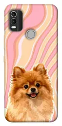 TPU чохол Demsky Pastel spitz для Nokia C21 Plus