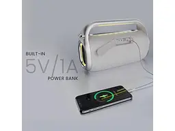 Портативна колонка HiFuture MusicBox 100 Silver (musicbox100.silver) - мініатюра 3