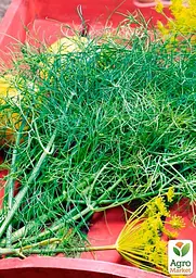 Насіння Agro-Market Кріп Делікатесний на вагу ціна за 20 г (177355) - мініатюра 2
