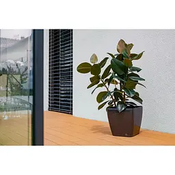 Вазон Plastkon Quadrato Flower Lover 34x34x32 см антрацит - мініатюра 4